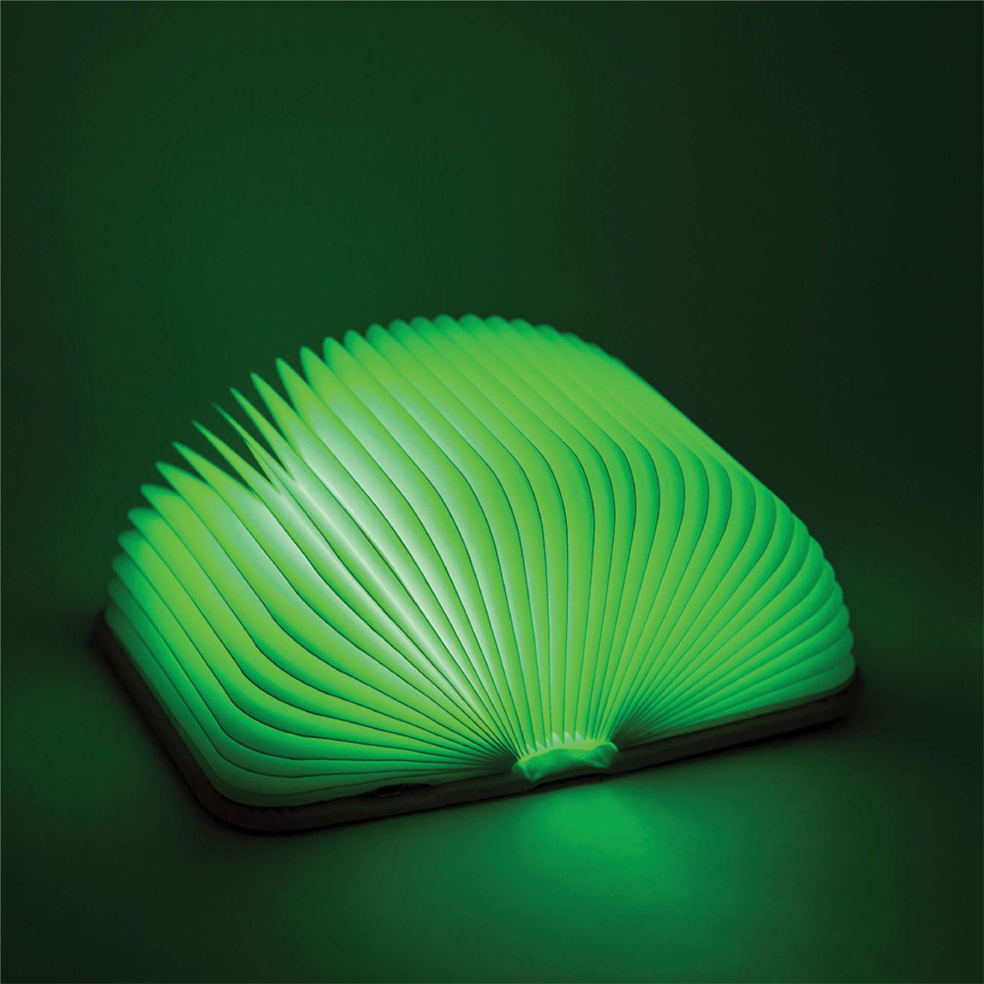 LED RECHARGEABLE BOOK SHAPE LIGHT | Purple Box